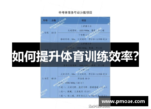 如何提升体育训练效率？